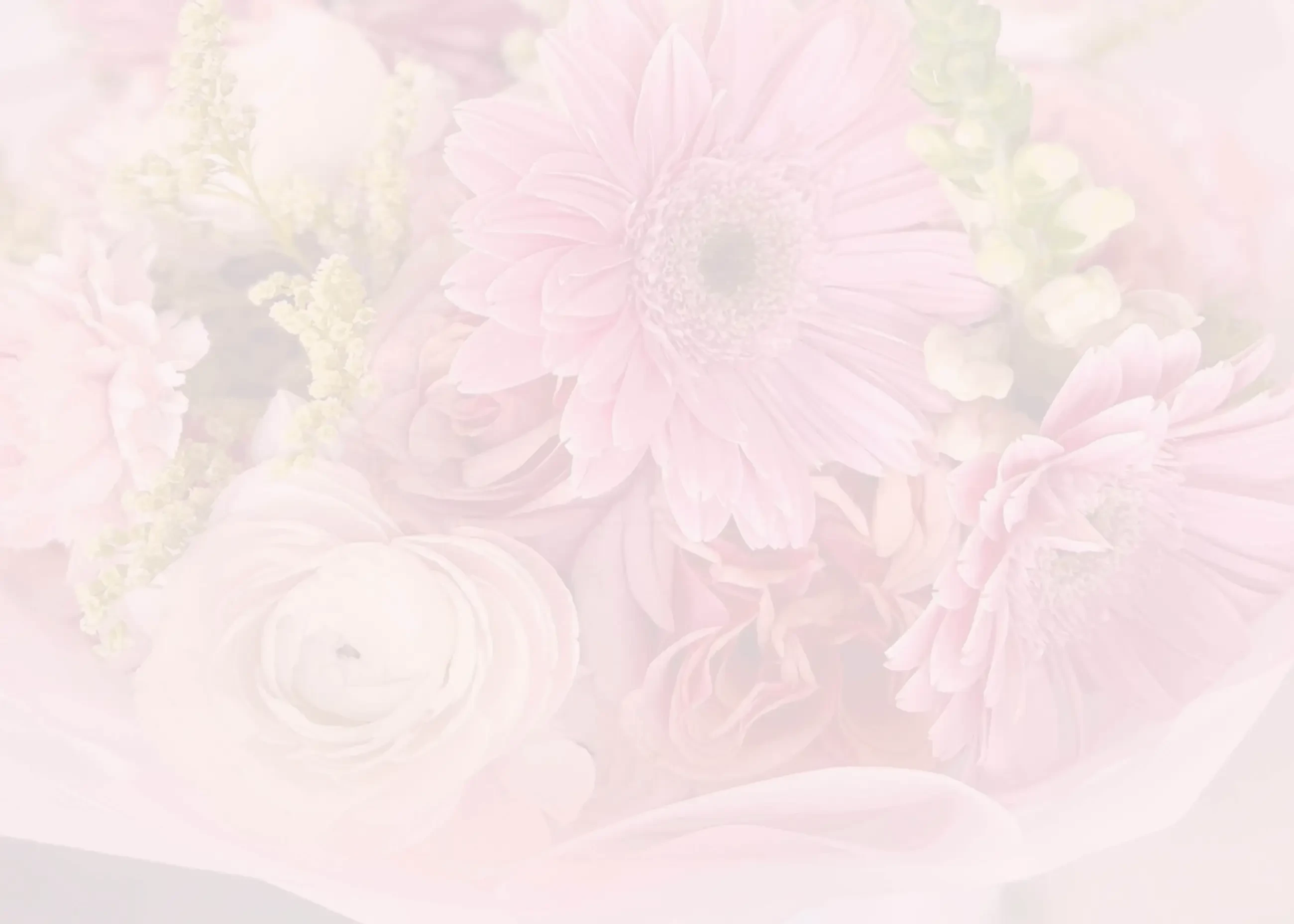 Section backgound image